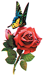 New Life Logo